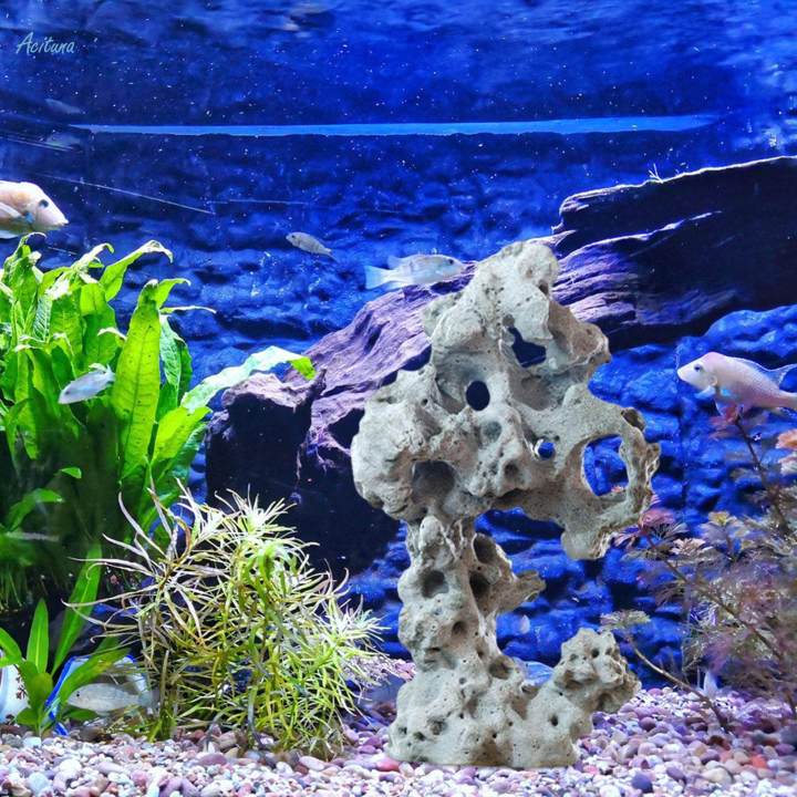 Fish%20Tank%20Tank%20Bonsai%20Fish%20Hiding%20Cave%20Office%20Tabletop%20Decorations%20Ornament%20A%20-%20Image%203