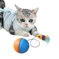 Cat Balls Toys for Indoor Cats Teaser Toys Interactive Play for Kitty Chasing. 