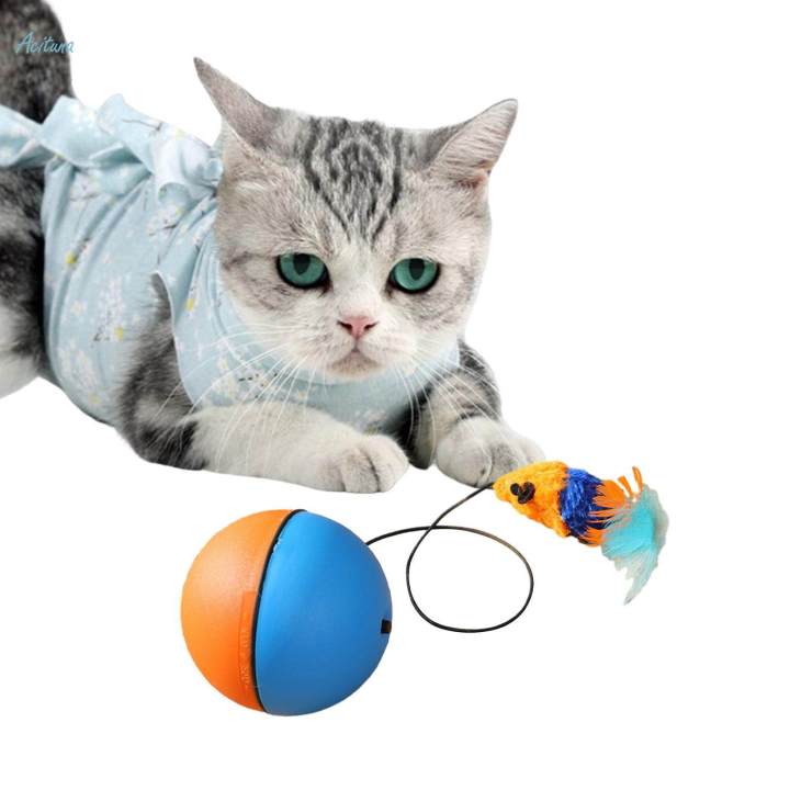 Cat%20Balls%20Toys%20for%20Indoor%20Cats%20Teaser%20Toys%20Interactive%20Play%20for%20Kitty%20Chasing%20-%20Image%203