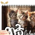 SuperRide Practical Cat Illustration Calendar 2025 Cute Cat Calendar for Home Office Organization Cat Illustrations Planner for Time Management Buyer's Favorite High-quality Thick Paper Calendar. 