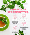 Spearmint cut herbs herbal 50g. 