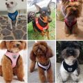 2023 Breathable Dog Accessories Mesh Nylon Durable Walking Dog Rope Pet Chest Strap Dog Traction Rope Dog Harness And Leash. 