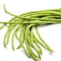 Long Bean Mas Mae Seeds මෑ බීජ 4g. 