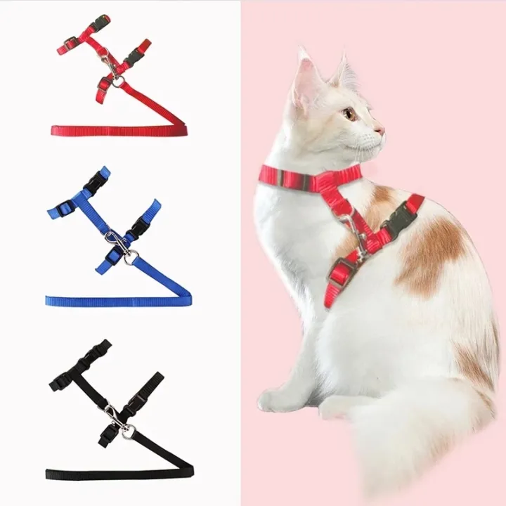 Cat%20Collar%20Harness%20Leash%20Adjustable%20Nylon%20Kitten%20Halter%20Collar%20Pet%20Traction%20Puppy%20Dog%20Cat%20Product%20Pet%20Harness%20Belt%20-%20Image%202