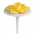 4PCS Cake Cupcake Stand Icing Flower Nails Set Sugarcraft Decorating Tool. 