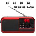 Digital Portable Rechargeable Pocket Radio with Memory Card Slot CY-H798. 