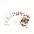 Premium Poker Playing Card Set – Standard Index with 21 Points, Euchre, and Canasta – Durable Paper Cards, Ideal for Holiday Gifts and Game Nights. 