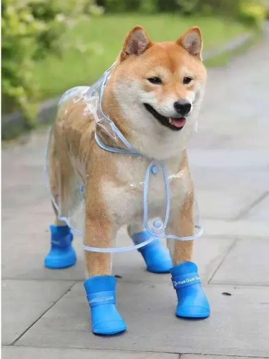 Clear%20Raincoat%20Rain%20Jacket%20Waterproof%20Coat%20for%20Samll%20Medium%20Dogs%20Teddy%20Shiba%20Dog%20Poncho%20Outdoor%20Walking%20Pet%20Clothes%20-%20Image%205