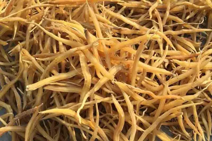 Hathawariya%20Root%20Powder,%20Shatavari,%20Asparagus%20racemosus,%20%20%E0%B7%84%E0%B7%8F%E0%B6%AD%E0%B7%80%E0%B7%8F%E0%B6%BB%E0%B7%92%E0%B6%BA%20%20%E0%B6%85%E0%B6%BD%20%E0%B6%B4%E0%B7%92%E0%B6%A7%E0%B7%92%20-%20100g%20-%20Image%203