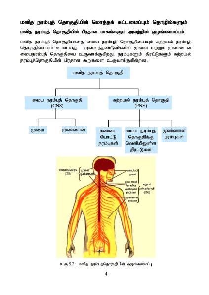 Tamil%20medium%20Biology%20resource%20book%20unit%205ii-10%20Color%20Print%20(2020%20Ed.)%20-%20Image%203