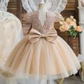 Toddler Girls 1st Birthday Party Dresses Cute Bow Kids Princess Lace Tulle Short Dress Flower Girls Dresses for Wedding 1-5 Year. 