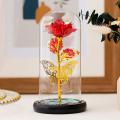 LED Galaxy Forever Rose Flower in Glass Dome Gift for Valentine's Day Girlfriend. 