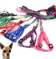 Cat & Dog Belt Adjustable Soft Nylon Paw Printed Strip Harness & Leash Set for All Breeds Dogs, Cat and Puppies. 