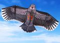 Rainbow Kite / Kite Toys for Outdoor. 