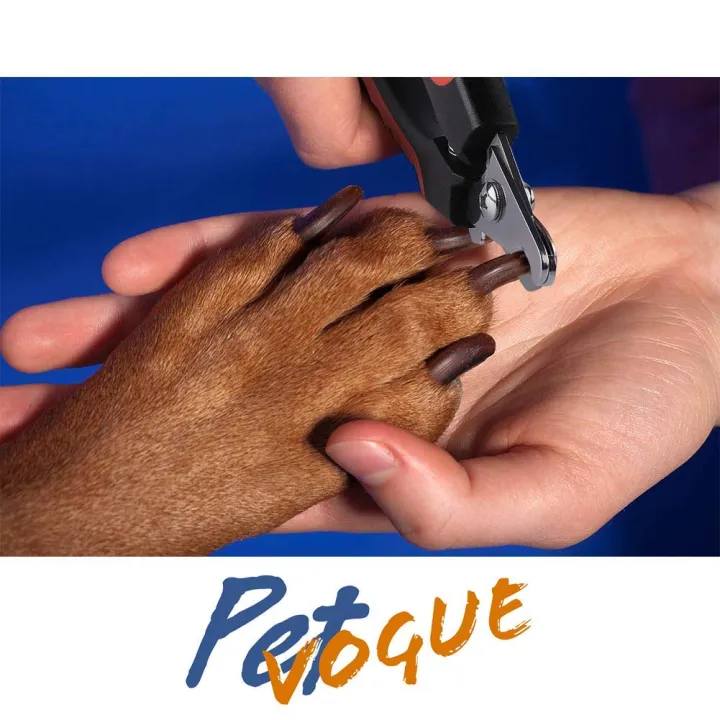 Dog%20Nail%20Cutter,%20Pet%20Nail%20Clipper,Claw%20&%20Nails%20Clippers%20Grinder%20Trimmer%20for%20Small,%20Medium,%20Large%20Dogs%20-%20Image%206