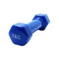 2 pcs  1 KG Fixed Weight Dumbbells / weight equipment (02 pc). 