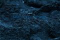 100g Natural Dye Indigo Blue Powder/ Indigo Leaf Powder Indigo dye Cosmetic Ingredient. 