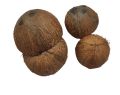 1Kg Sri Lankan Coconut Shells  | Natural Organic Coconut Shells for Coconut Productions , Charcoal. 