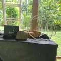 4G Router antenna. 