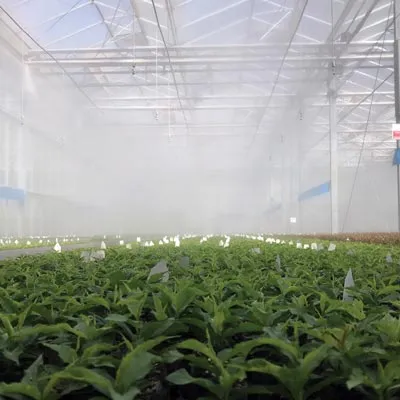 Foggers%20Greenhouse%204%20outlet%20Netafim%20Coolnet%20Pro%20Misters%20Isreal%20High%20Quality%20Agricultre%20Products%20Long%20Durable%20-%20Image%204
