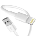 Apple Foxconn Cable, 5W Apple Charger, 20W Fast Charging Dock, C to Lightning Cable, AirPods Pro - Original Apple Accessories Bundle | High-Quality Cables, Chargers & Wireless Earbuds for iPhone & iPad. 