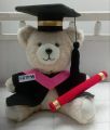 Graduation Teddy Bear/Personalized graduation teddy bear. 