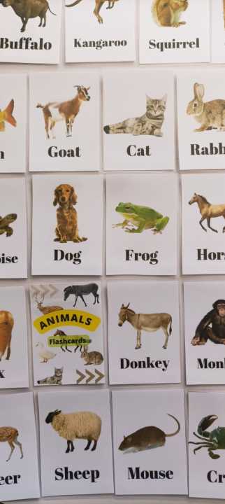 Animal%20Flashcards,%20kids%20educational%20tools,%20kids%20flashcards%20-%20Image%203