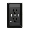 Dual USB Port Outlet Power Charger Socket Wall-Mounted Power Adapter. 