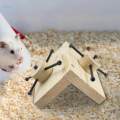 Hamster Wooden Foraging Toy Exercise Wheel Toy for Small Pet Rats Chinchilla. 
