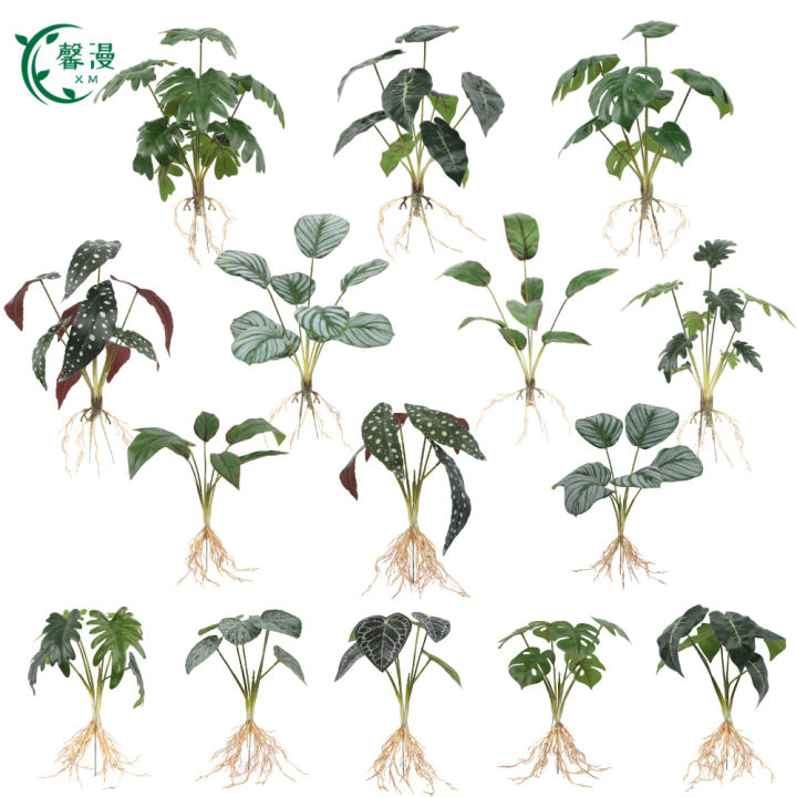Green Arrowroot Tropical Plants With Root Artificial Flower Home Shop ...