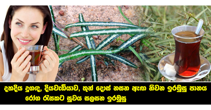 Iramusu%20Powder%20Herbal%20tea%20powder%2050g,%20Nannaari%20Powder,%20%E0%B6%89%E0%B6%BB%E0%B6%B8%E0%B7%94%E0%B7%83%E0%B7%94%20%E0%B6%9A%E0%B7%94%E0%B6%A9%E0%B7%94,%20%E0%AE%A8%E0%AE%A9%E0%AF%8D%E0%AE%A9%E0%AE%BE%E0%AE%B0%E0%AE%BF%20%E0%AE%A4%E0%AF%82%E0%AE%B3%E0%AF%8D,%20Iramusu%20tea%20-%20Image%202