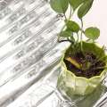 ZOROOM 6Pc Garden Wall Mylar Film Covering Sheet Hydroponic Highly Reflective. 
