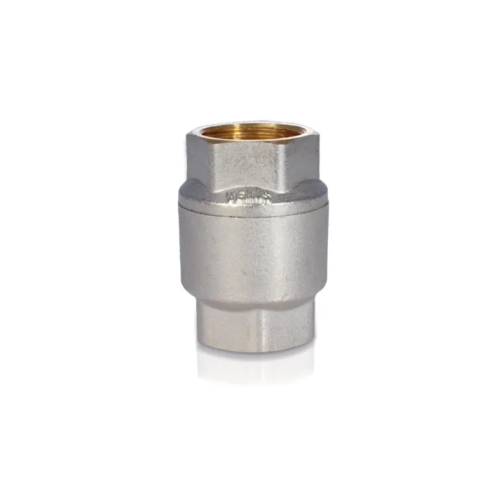 1" Non Return Valve
