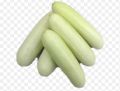 Cucumber / Pipincha Seeds For Home Garden. 