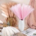 1/5/10PCS Fluffy Artificial Pampas Grass For Garden Boho Home Decor Aesthetic Simulation Plant Wedding Party Decoration. 