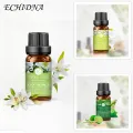 10ml Fragrance Oil High Purity Relieve Anxiety Natural Extract Pure Diffuser Aroma Aromatherapy Essential Oils for Office. 