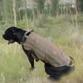 Pawaca Tactical Dog Molle Vest Harness Military Training Dog Pet Dog Nylon Harness Jacket(L). 