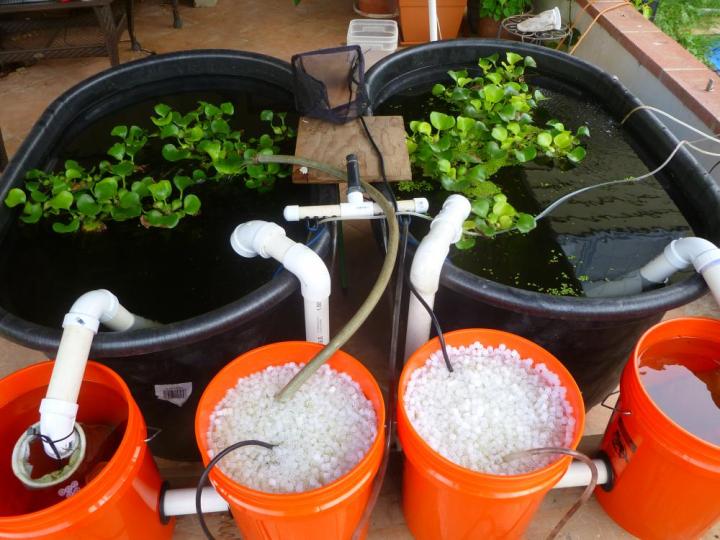 K1%20Filter%20Media%20Premium%20Grade%20Moving%20Bed%20Biofilm%20Reactor%20for%20Aquariums,%20Aquaponics,%20Aquaculture,%20Hydroponics,%20Ponds%20and%20Sump%20Filter%20Systems%20-%20Image%207