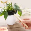 SuperRide Kids Planting Tool Kit Mini Gardening Tools Set for Kids Metal Trowel Rake Shovel with Wooden Handle for Transplanting Loosening Soil in Potted Plants at Home or Office Kids' Outdoor Activity Set. 