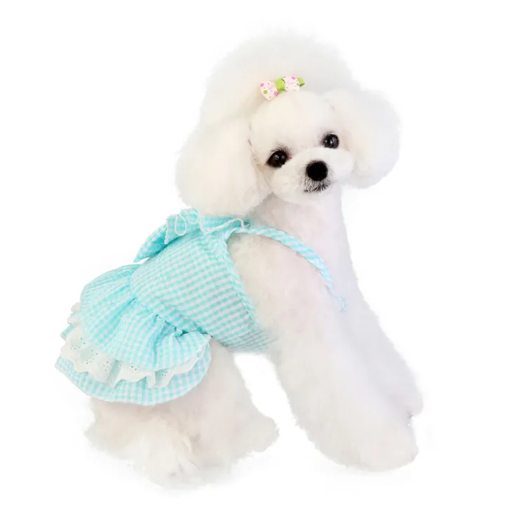 %E3%80%90The%20Quiet%20Page%E3%80%91Yorkie%20Clothes%20For%20Small%20Dogs%20Dog%20Hanukkah%20Clothes%20Cotton%20Pet%20Puppy%20Clothes%20For%20Extra%20Small%20Dogs%20Female%20Cat%20Thanksgiving%20Outfit%20-%20Image%205