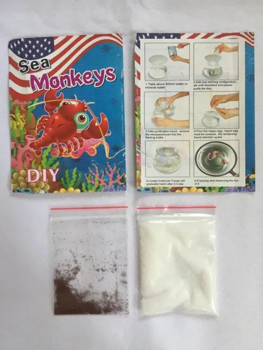 One%20Piece%2015%20mm%20L%20Sea%20Monkey%20Monkeys%20Eggs%20Fairy%20Brine%20Shrimp%20Grow%20Artemia%20Salina%20Crayfish%20Prawns%20NOT%20Triops%20Egg%20Toy%20Hatch%20Toys%20-%20Image%205
