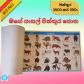 My School Picture Book - Cut & Paste Grade 1-5 kids Sinhala Tamil English children. 