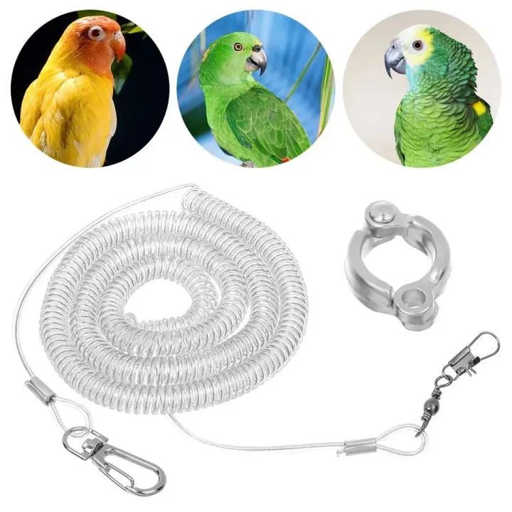 Hot Harness Bird Training Parrot Ultra-light Flexible Rope Anti-bite Leg Parrot Bird Flying Training Leash