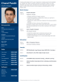 professional cv. 