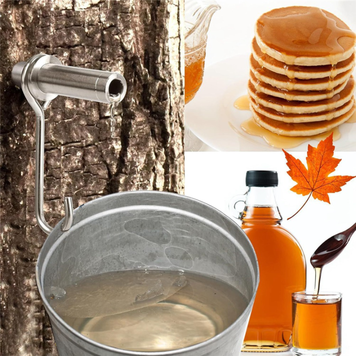 Upgrade%20Maple%20Syrup%20Tapping%20Kit%20Maple%20Syrup%20Collector%20Stainless%20Steel%20Maple%20Faucet%20Tip%20Maple%20Syrup%20Synthetic%20Filter%20-%20Image%204