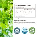 Xemenry PURE GINKGO BILOBA Made with Pure Organic Ginkgo Leaf - Concentrate attention and promote blood circulation - Clears brain fog and boosts logical thinking. 