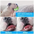 Benepaw Eco-friendly Cotton Dog Rope Toys Durable Small Medium Big Pet Dog Chew Toys Interactive Teeth Cleaning Puppy Play. 