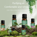 Essential Oils for Diffusers Eucalyptus,Lavender, Lemongrass,Rosemary,Peppermint,Tea Tree Essential Oil Aromatherapy Oils. 