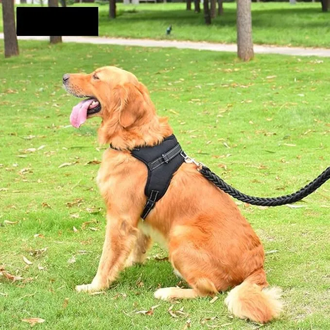 Dog%20Harness%20Pet%20Leash%20Lead%20Set%20for%20Small%20Medium%20Large%20Dogs,%20Adjustable%20Reflective%20No-Pull%20Padded%20Puppy%20Dog%20Harness%20Collar%20Chest%20Vest%20with%20Handle%20Training%20Walking%20Leash,%20Saddle%20Style%20Mesh%20Dog%20Harness%20Comfortable%20Harness%20for%20Small%20to%20Large%20Dogs%20-%20Image%202