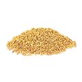 White Mustard Seeds | Ven kadugu (வெண்கடுகு  | සුදු අබ) - 100g. 